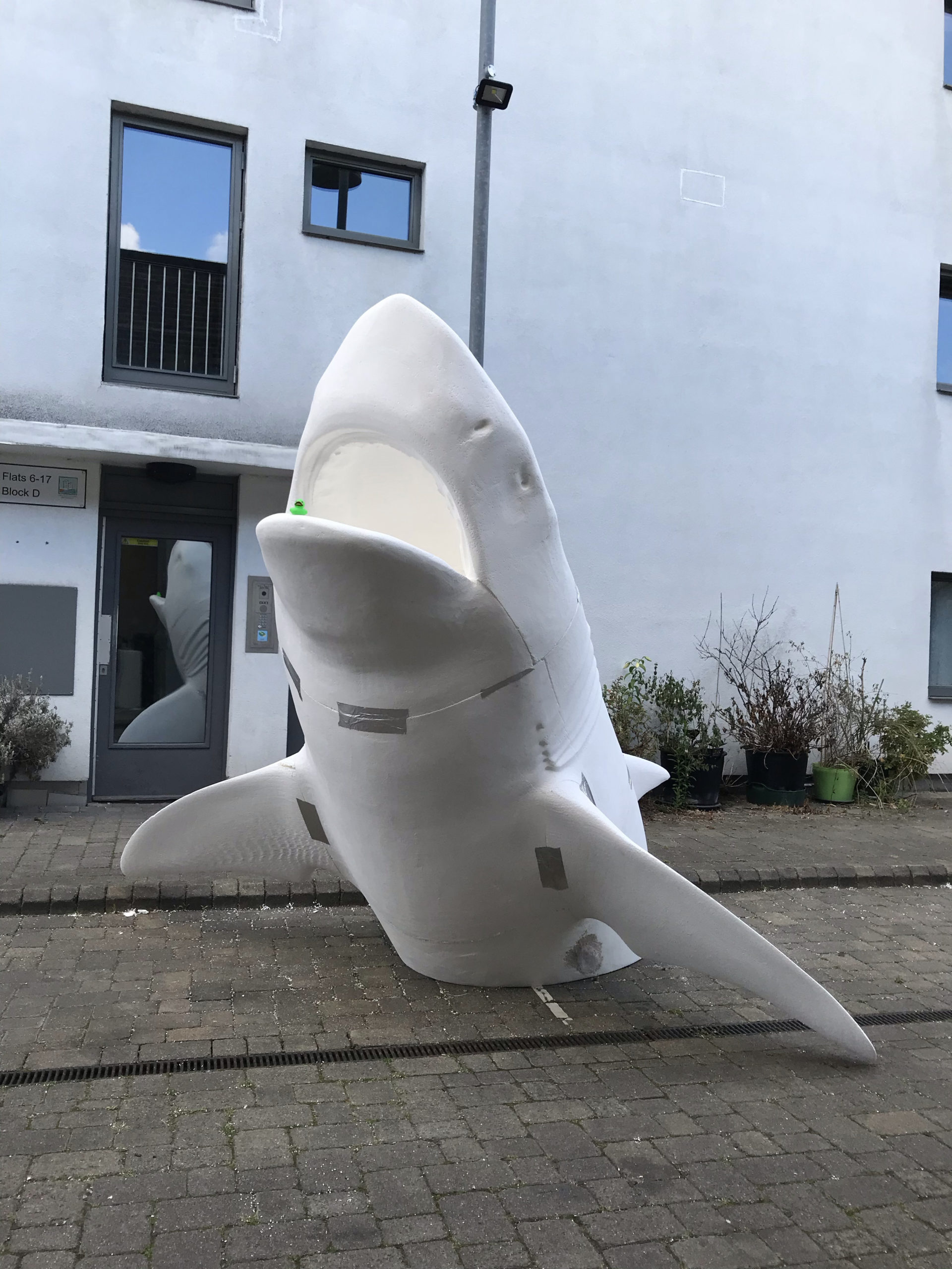 Megalodon shark for Antepavilion