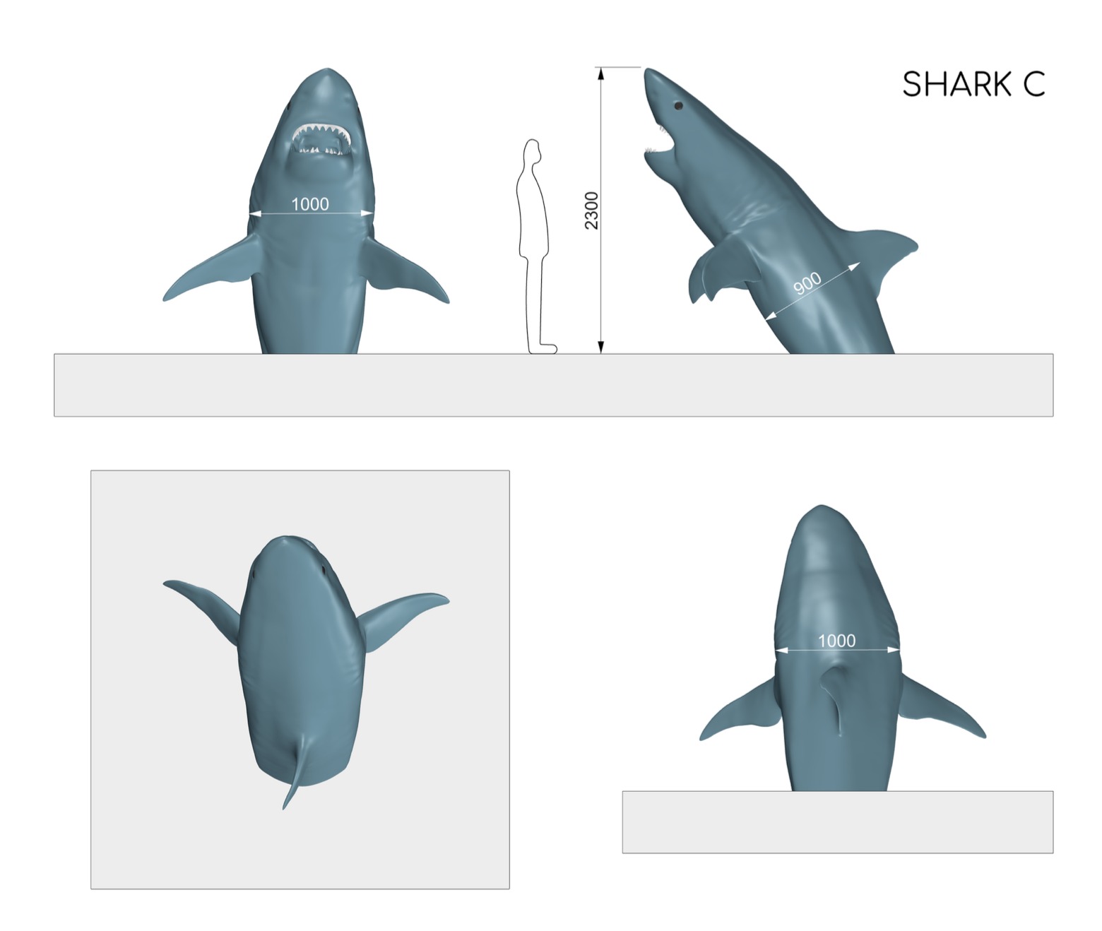 White shark dimensions