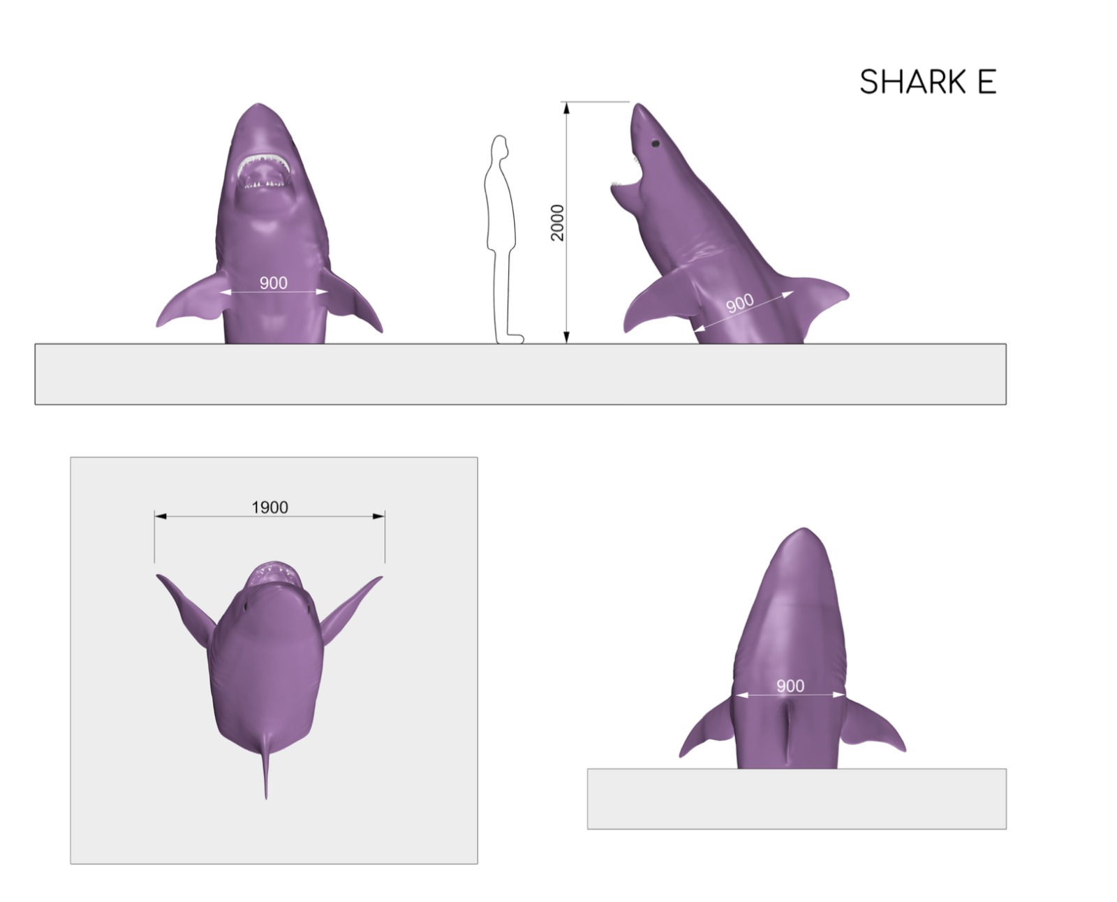 White shark dimensions